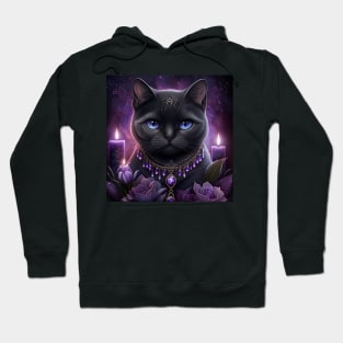 Witchy Black British Shorthair Cat Hoodie